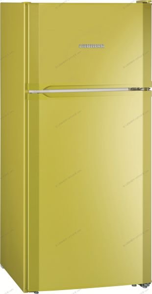 Холодильник Liebherr CTPag 2121