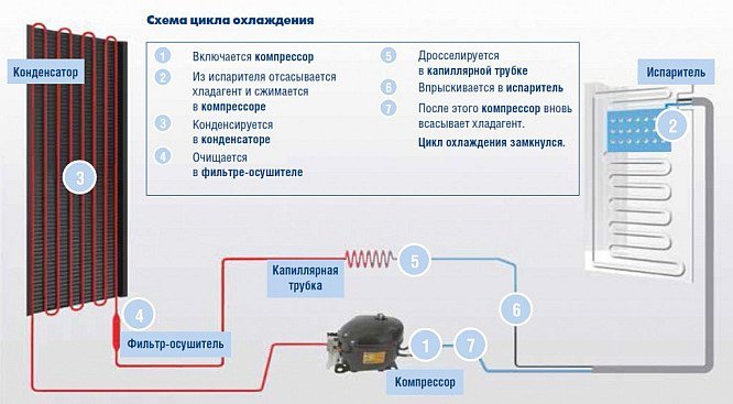 Схема работы холодильника